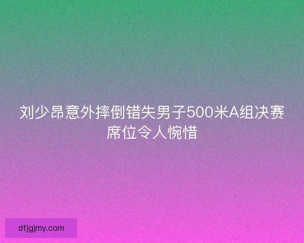 刘少昂意外摔倒错失男子500米A组决赛席位令人惋惜